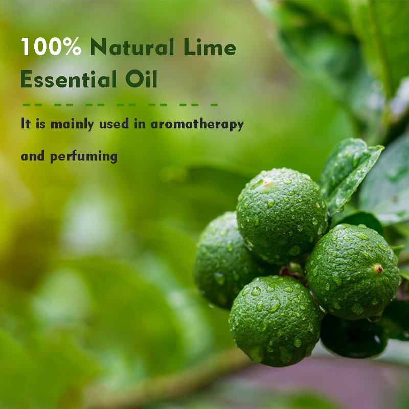 Citrus Fruit Essential Oil 100%Pure Organic Lime Essential Oil For Perfume Candle Diffuser Massage