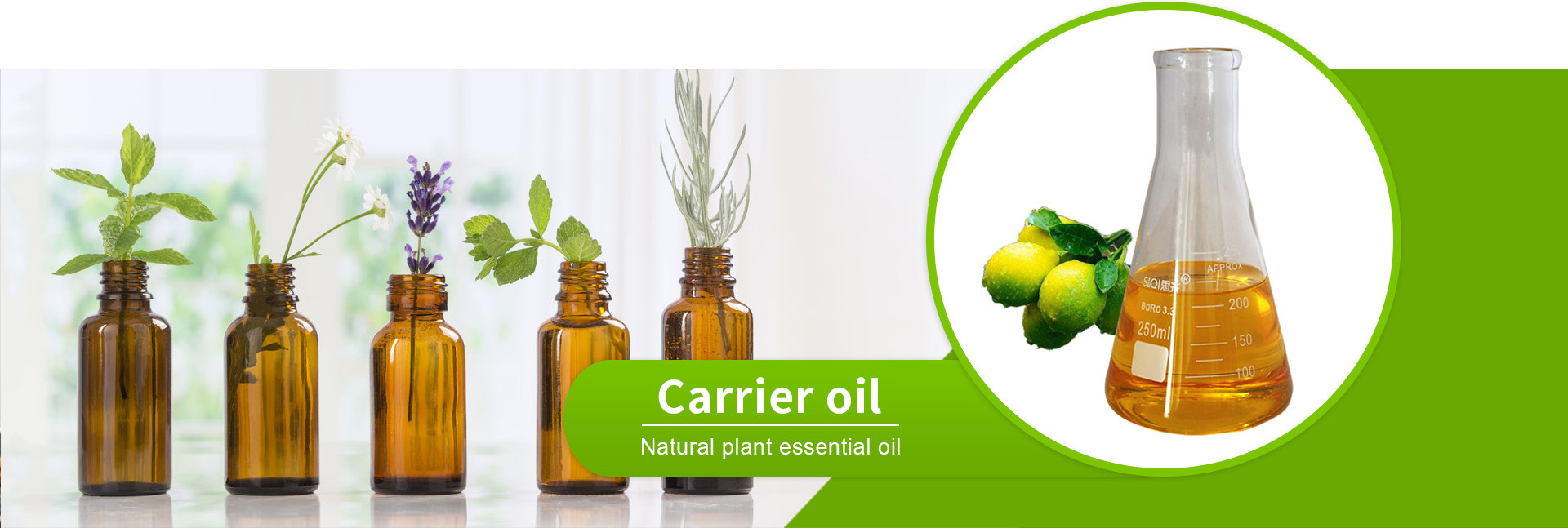 Vegetable Extract Carrier Oil 100% Pure Natural Organic Tomato Seed Oil for Skin Care