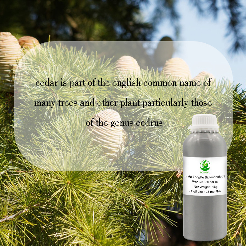 Cedarwood essential oil 100% pure organic cedar wood oil for cleaning product, air fresher aroma oil