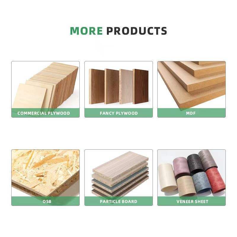 4*8 high quality pine/ash/cherry/maple /oak /teak veneer faced plywood construction plywood suppliers