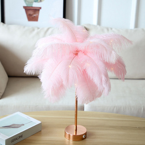 Flashing String Lights Stars Christmas Girl Heart Feather Lamp Room Dormitory Decoration Table Lamp Light Gold Ostrich Feather