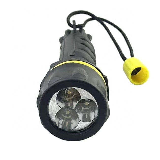 Plastic Cheap Mini Light Torch 50 Lumens Dive Flashlight For Diving