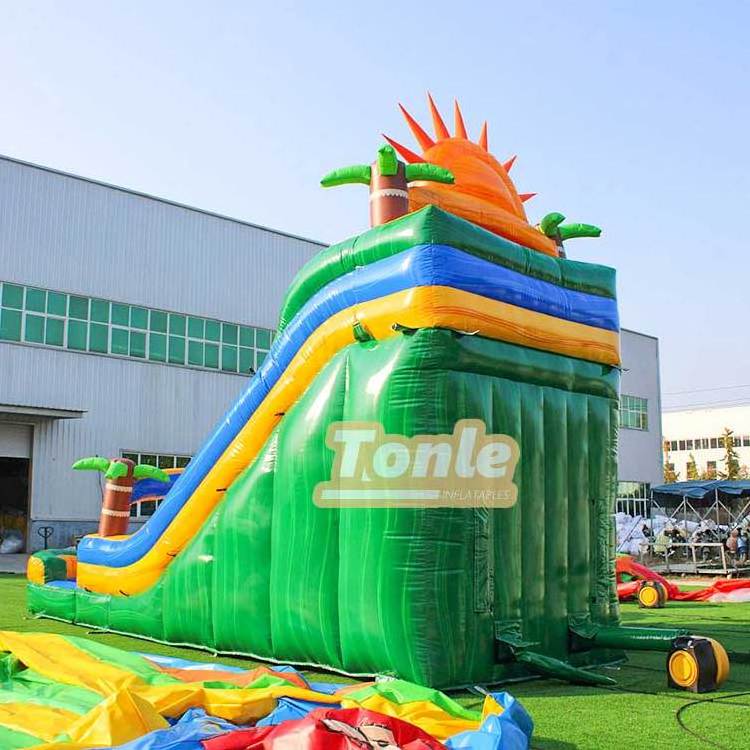 20ft tall commercial palm inflatable water slide for sale