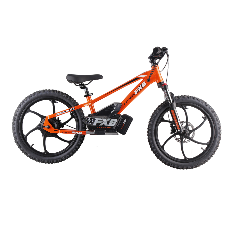 Custom 20 Inch BMX Race Electric Bicycle Kids' Bike with 36V 600W Brushless Hub Motor for Boys