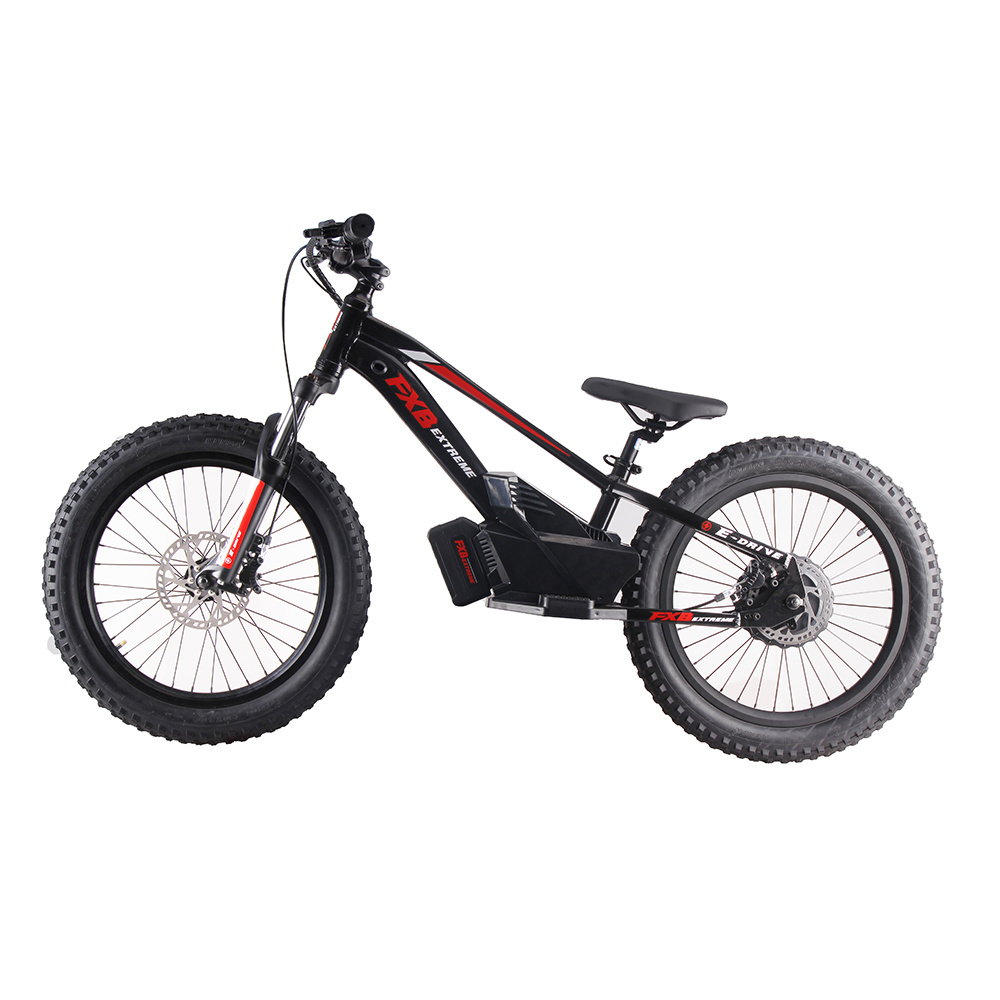 FXB 2023 New Style 20inch Smart Kids Electric Balance Bike for Children