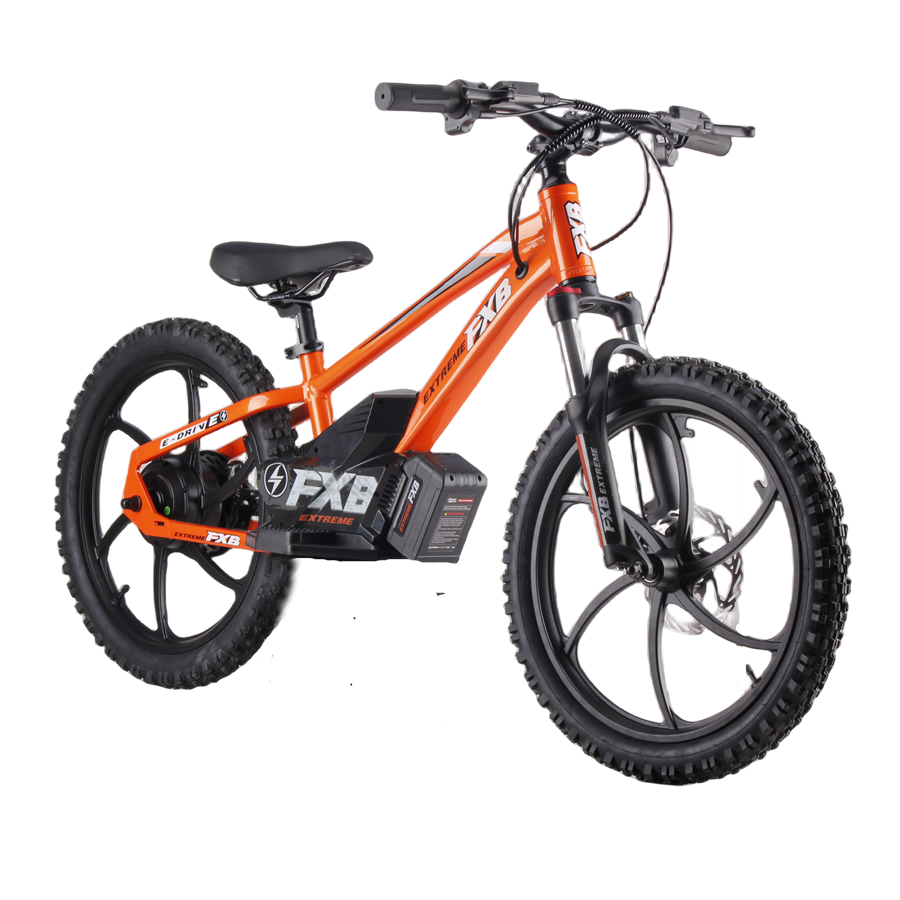 Custom 20 Inch BMX Race Electric Bicycle Kids' Bike with 36V 600W Brushless Hub Motor for Boys