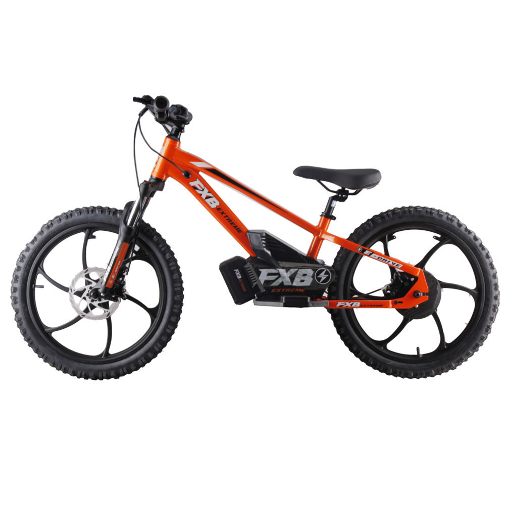 Custom 20 Inch BMX Race Electric Bicycle Kids' Bike with 36V 600W Brushless Hub Motor for Boys