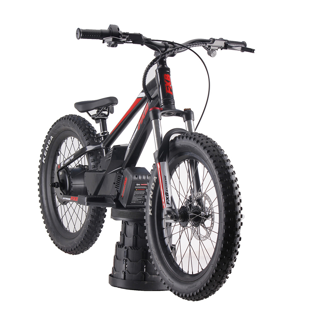 FXB 2023 New Style 20inch Smart Kids Electric Balance Bike for Children