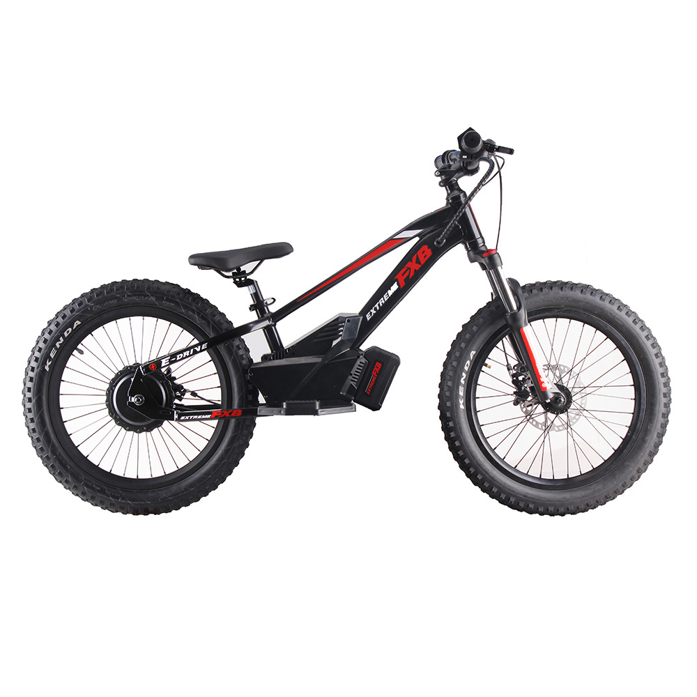 FXB 2023 New Style 20inch Smart Kids Electric Balance Bike for Children