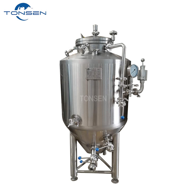 Tonsen 1 bbl fermenter stainless steel fermentation tanks cold liquor tank