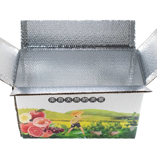 Frozen Food Boxes Packaging for Fruit Seafood Meat Cakes Pizza Shrimp Chicken Fish with Custom Cardboard Insulated Box Folders