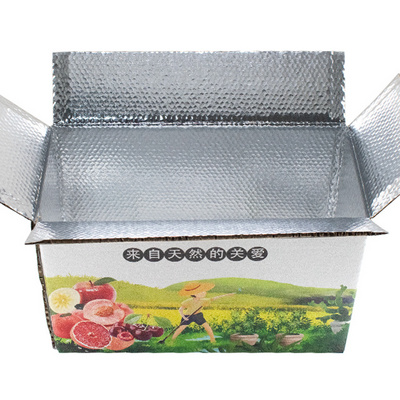 Frozen Food Boxes Packaging for Fruit Seafood Meat Cakes Pizza Shrimp Chicken Fish with Custom Cardboard Insulated Box Folders