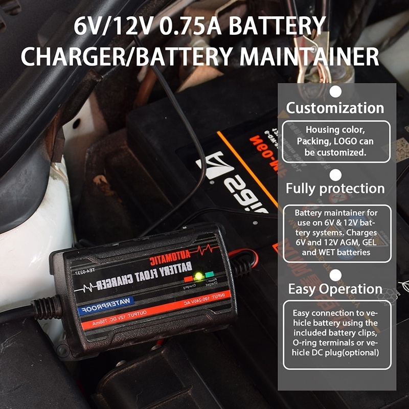 6V/12V 750mA Automatic Battery Float Charger Battery Maintainer Trickle Charger for Car Truck Motorcycle Lawn Mower Boat Marine