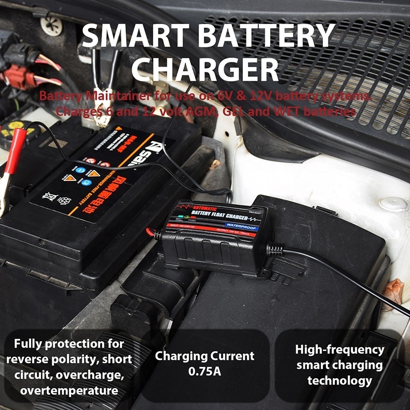 6V/12V 750mA Automatic Battery Float Charger Battery Maintainer Trickle Charger for Car Truck Motorcycle Lawn Mower Boat Marine