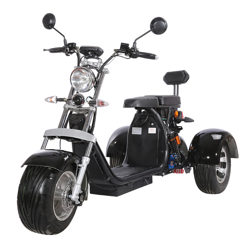 Electric 10 inch Three Wheels Drift citycoco Scooter With Light 1500W  for kids  electric tricycles For Adult With EEC