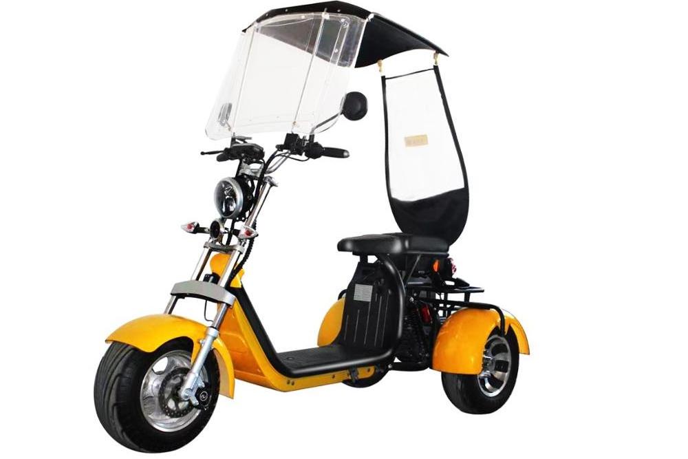 EEC  big wheel tricycle adult electric scooter 50km range woqu three wheel citycoco motorcycles