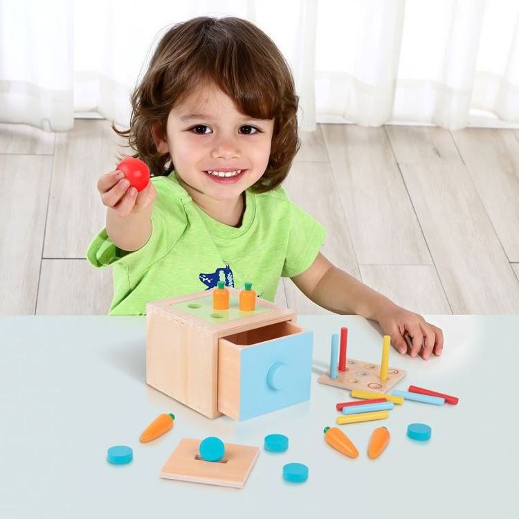 Wooden 4 In 1 Educational Box Carrot Shape Sorter Coin Box Wooden Toy Montessori Toys for Kids