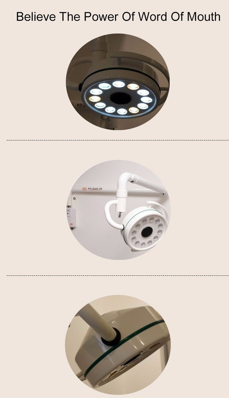 Electric Wall-Type LED Surgical Shadowless Examination Light LED Medical Lamp for Pet Hospital Dental Clinic Operating Room