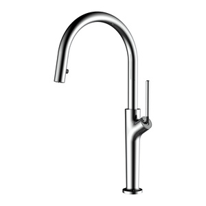 Chrome 360 Degree Rotation Flexible Hose Kitchen Faucet Sanitary Single Handle Sink Tap