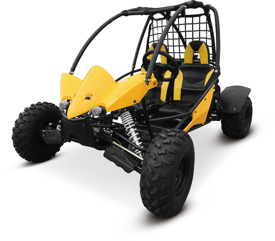 Made In China Superior Quality CE new gas electric start go kart two wheels 200cc drive off road buggy