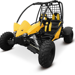 Made In China Superior Quality CE new gas electric start go kart two wheels 200cc drive off road buggy