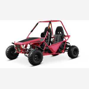 gasoline racing dune buggy  wholesale adult buggy off road pedal go karts 150cc buggy 200cc go karts