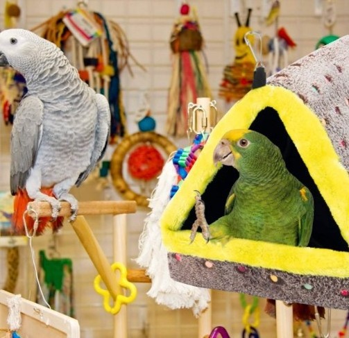 Factory wholesale Guinea Pig Parrot Pet Cage Birds Living Place Parrots Cave Bed Tent Hanging Winter Warm Bird Nest House