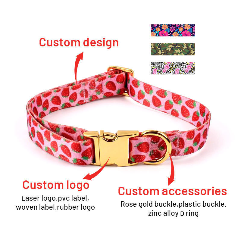 Factory  Luxury Designer Custom Dog Collar Metal Buckle Hardware Personalized Sublimation Gold Pet Dog Collar Manufacturer