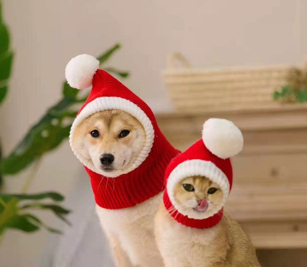 Factory wholesale Red Santa Dog Hat Winter Pet Dog Accessories New Year Happy Pet Hat Dog Costume Christmas Hat for Cats Reindee