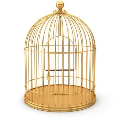 Metal Pet Bird Flight Cages Large Finch Bird Cage for Macaw Finch Cockatoo Budgie Parrot Pet House Cage