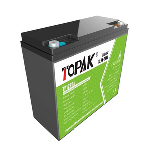 TOPAK 12V 20ah 50Ah 100Ah 200Ah Lifepo4 Battery 12 Volt Lithium ion Battery Pack