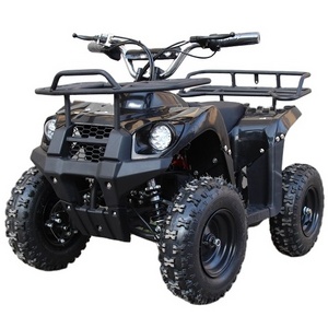 500W to 1300W 36V/48V Chain Drive electric kids atv electric 4 wheeler atv electric quad bike