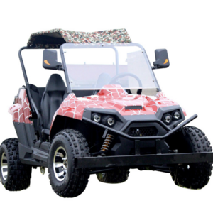 Sun automatic off road 200cc cheap racing gas go kart cross buggy for adults offroad