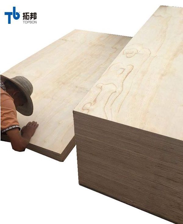 Pine Flexible Plywood with Cheap Price for Furniture