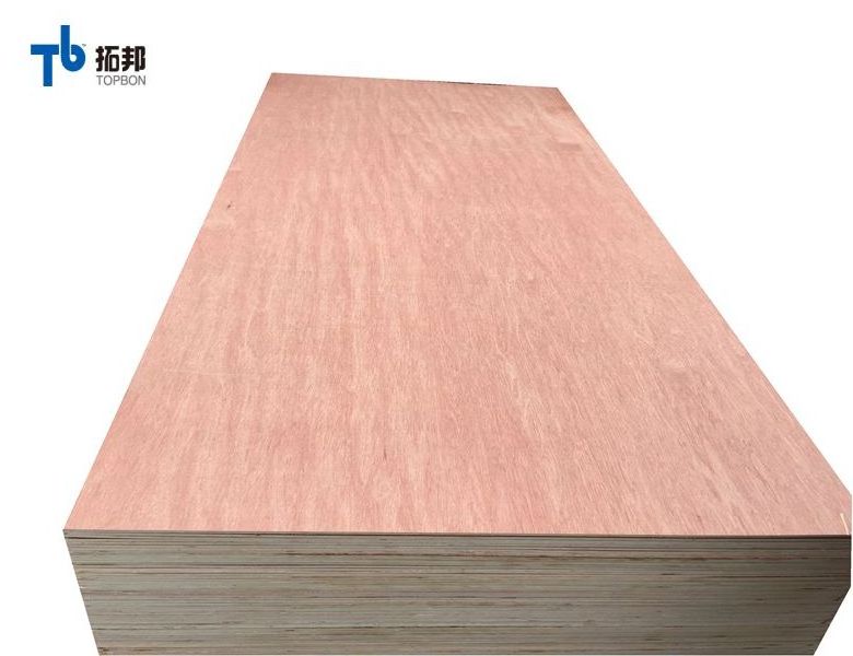 mahogany ply wood plywood  sizes with good price