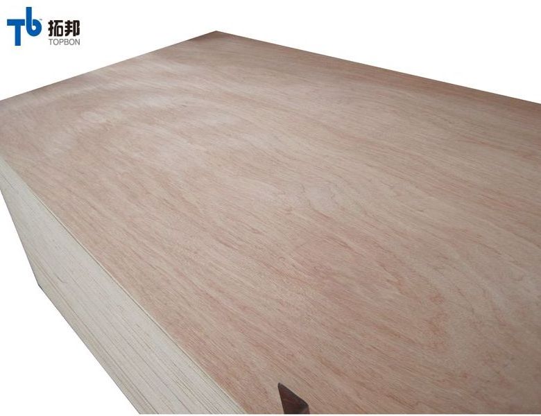 mahogany ply wood plywood  sizes with good price