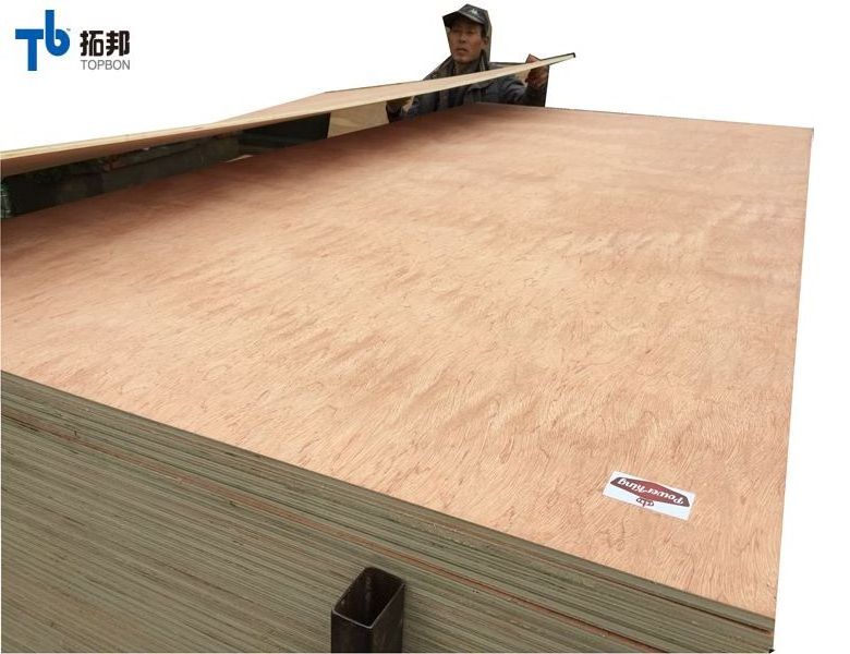 cheap bintangor  furniture plywood  for sale