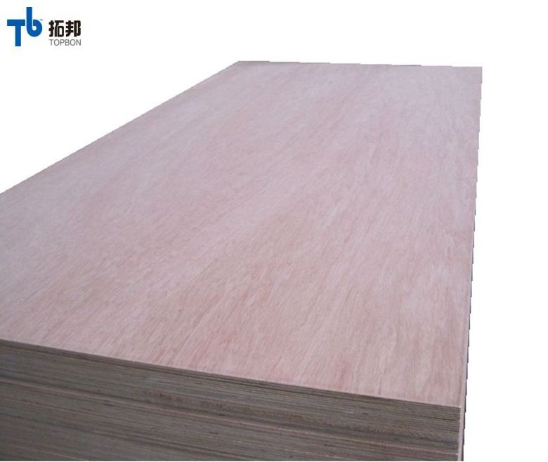 cheap bintangor  furniture plywood  for sale