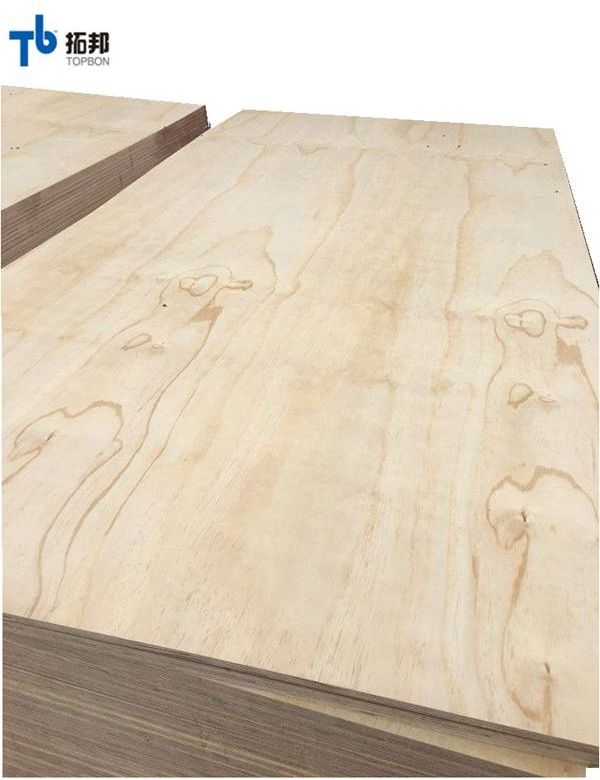 Pine Flexible Plywood with Cheap Price for Furniture