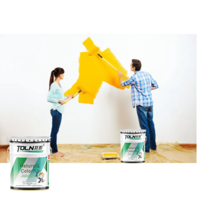 TOLN Odorless Premium gloss Interior Wall Paint Interior Wall Latex Paint