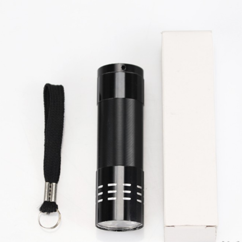 Powerful Portable Super Bright 9 LED Mini Flashlight Small Torch Pocket Lamp for Lighting Promotion