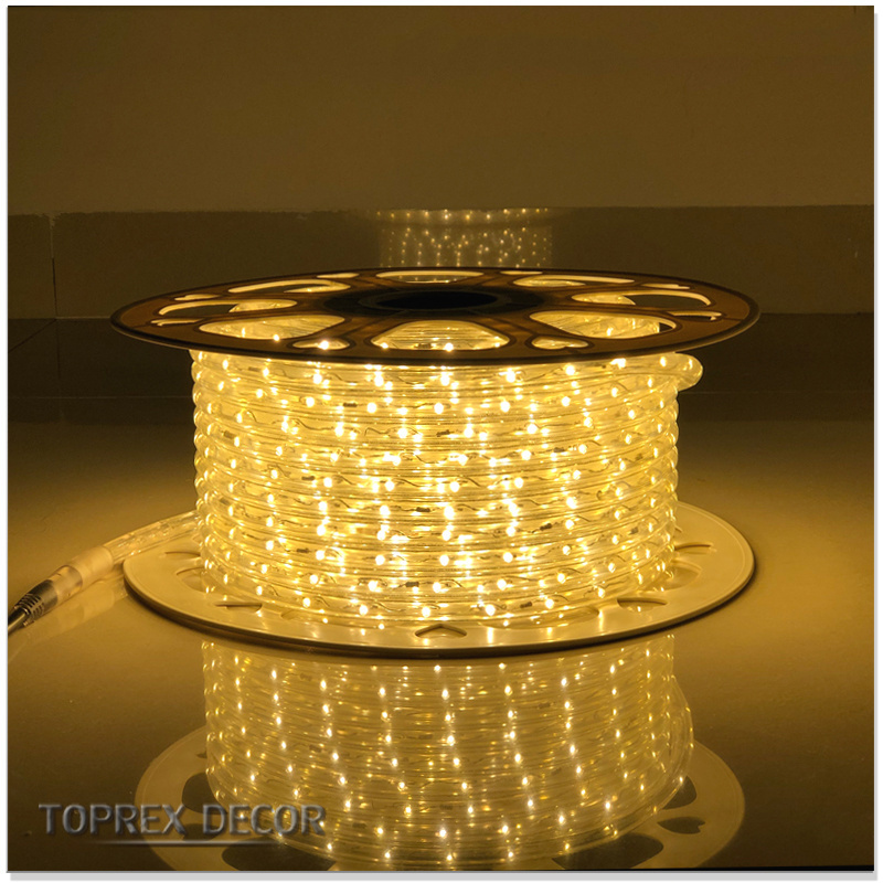 High quality products flex rope light 08 16 12v 24v 110v 220v 2 wire color changing wholesale led rope light 100 meter