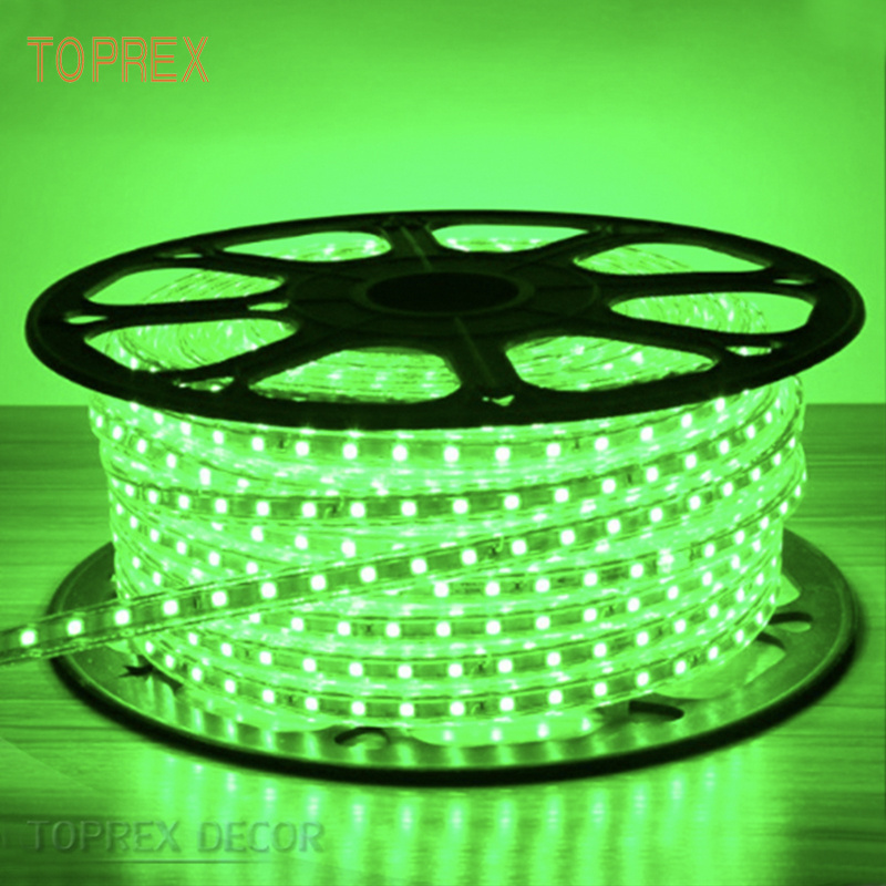 High quality products flex rope light 08 16 12v 24v 110v 220v 2 wire color changing wholesale led rope light 100 meter