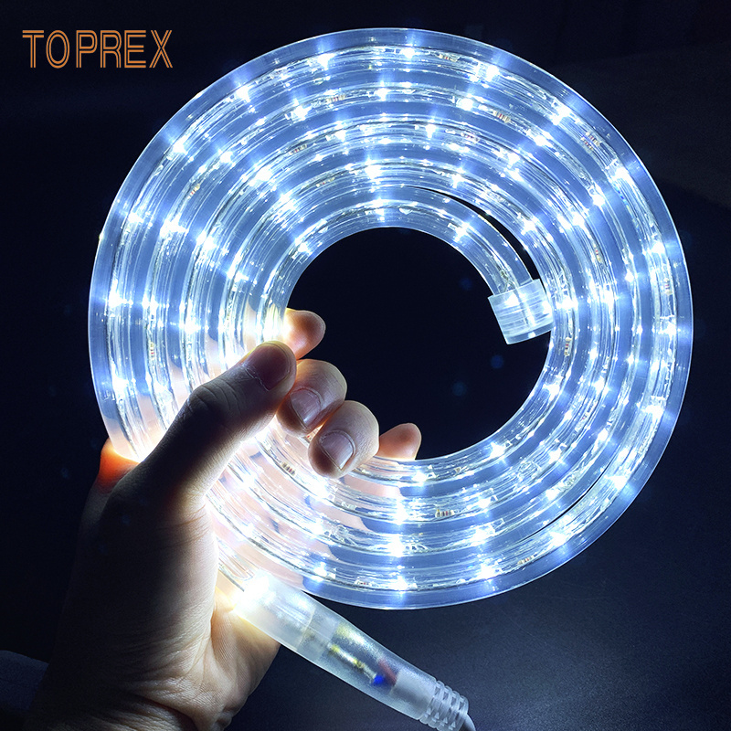 High quality products flex rope light 08 16 12v 24v 110v 220v 2 wire color changing wholesale led rope light 100 meter