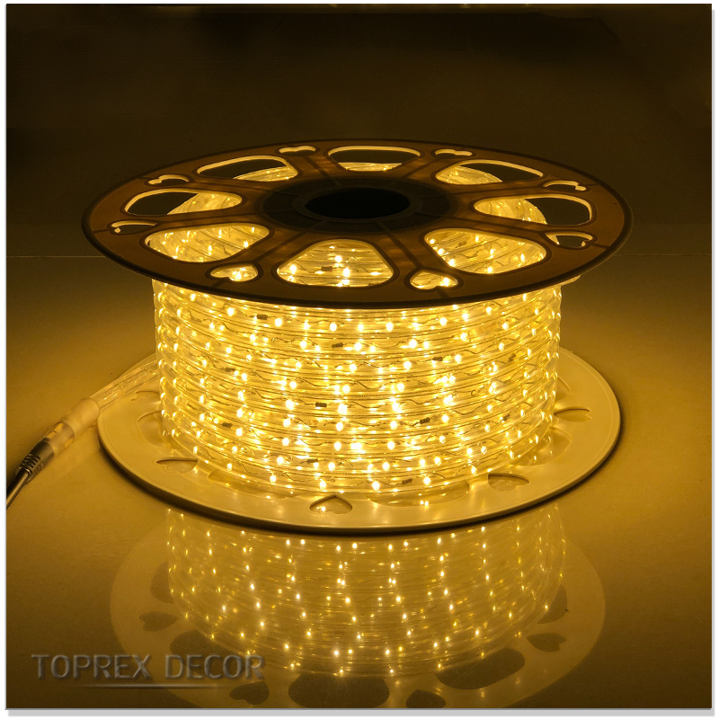 High quality products flex rope light 08 16 12v 24v 110v 220v 2 wire color changing wholesale led rope light 100 meter