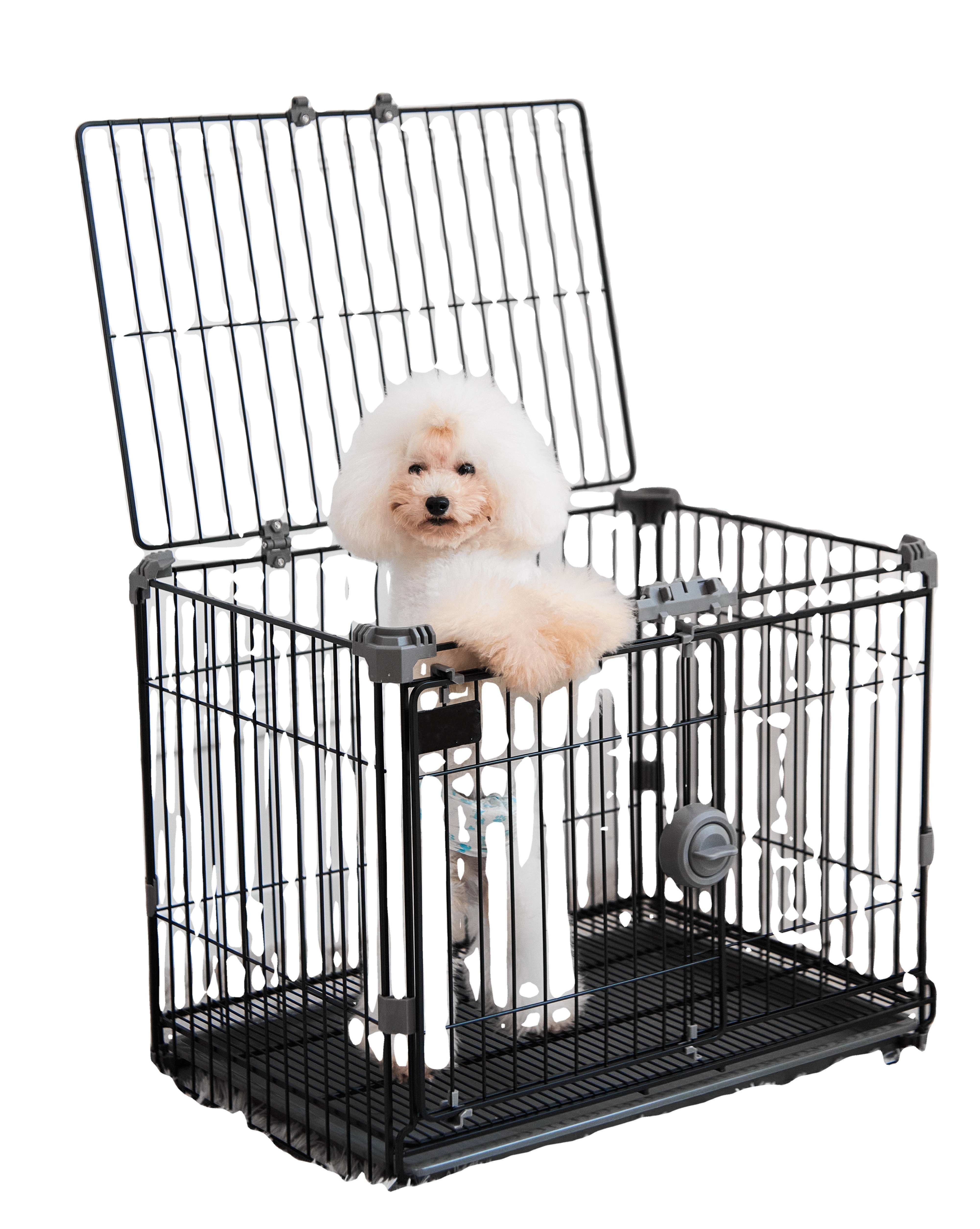 Pet Crate for Small Dogs Pets  Enhanced Single & Double Door New Dog Crate, Includes Leak-Proof Pan, Floor Protecting Feet