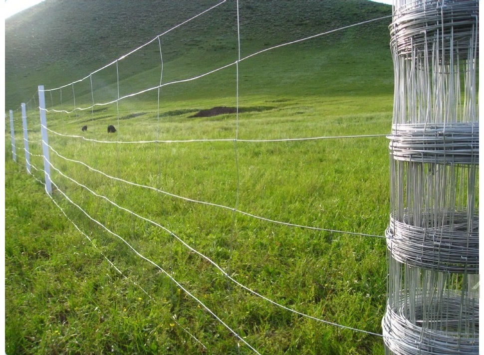 Heavily Galvanized Hinged Joint Sheep Wire Fencing 7-90-30 Length 200m Field Fence for Rural Farm Fencing