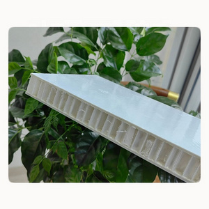 Frp Xps PU Foam Core Sandwich Panel For Light Weight Trailer Rv