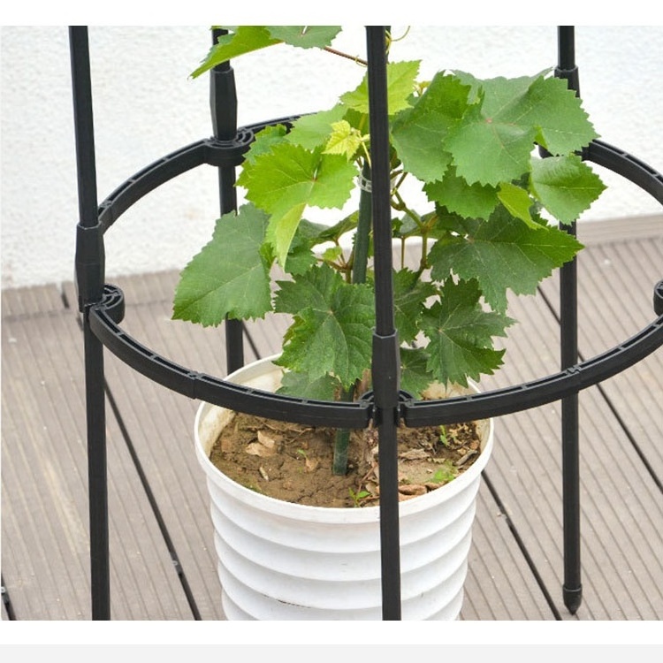 Plant Climbing Support With Pe coating