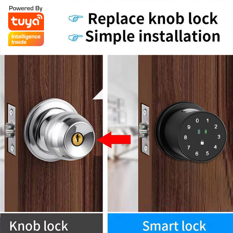 fingerprint deadbolt round smart locks door lock and dead bolt 2.4 ghz mobile wi-fi for magnetic usa 4 in 1 wi fi  tuya